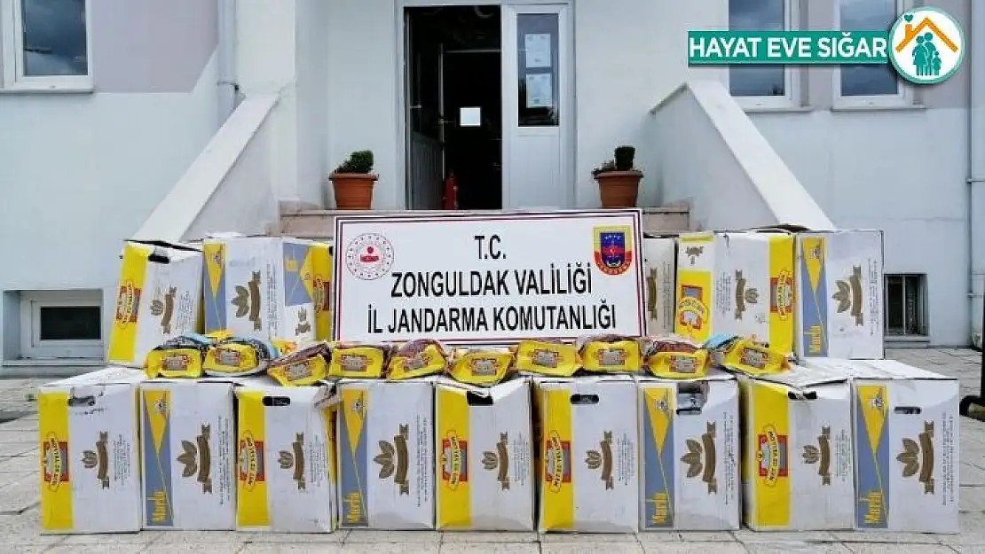 Kamyon kasasından 400 kilo kaçak tütün çıktı