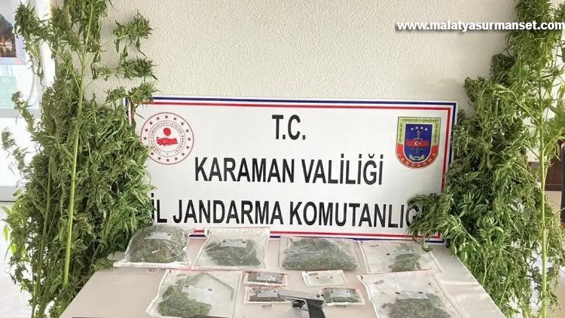 Karaman'da jandarmanın esrar operasyonunda 3 kişi gözaltına alındı