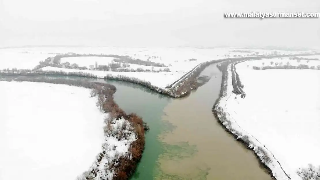 Karasu Nehri'ne düşen Yağmur'u arama çalışmalarına ara verildi