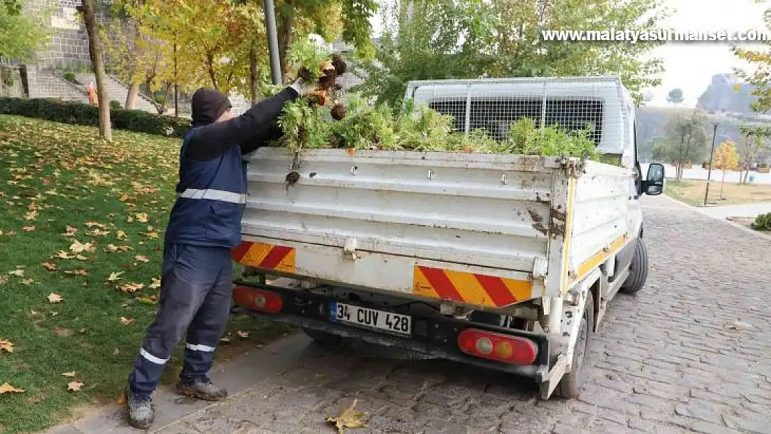 Kavşak ve refüjler 200 bin lale ile süslenecek