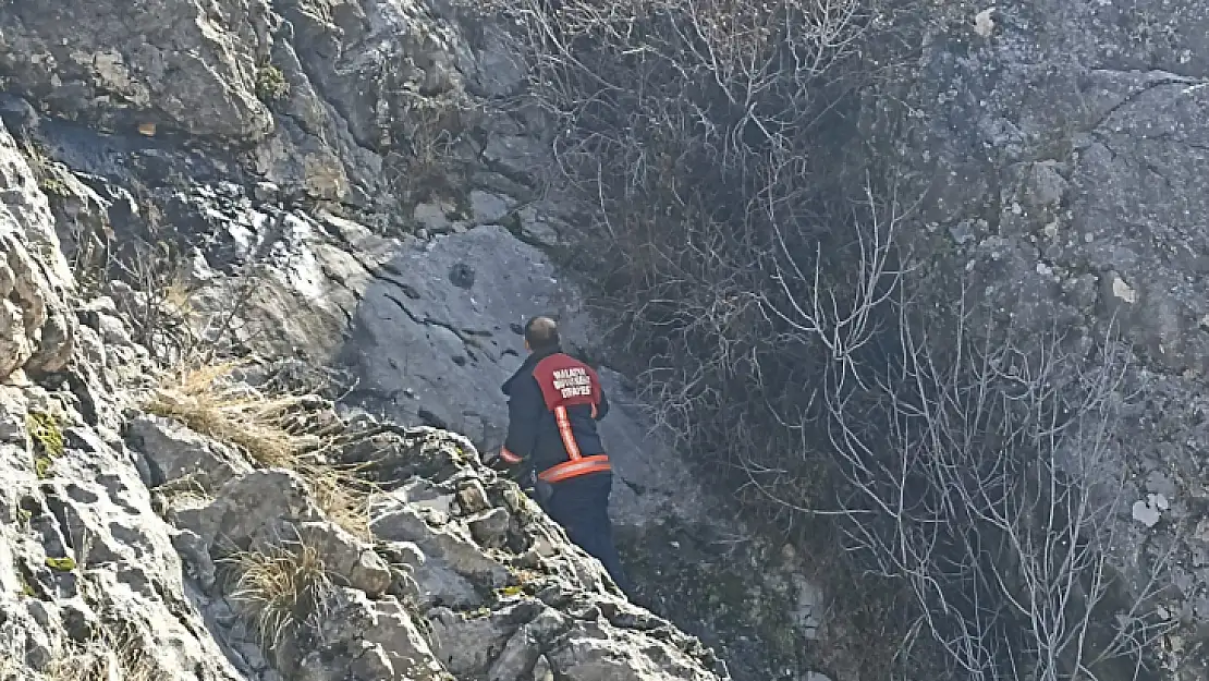 Kayalıklarda Mahsur Kalan Keçileri İtfaiye Kurtardı