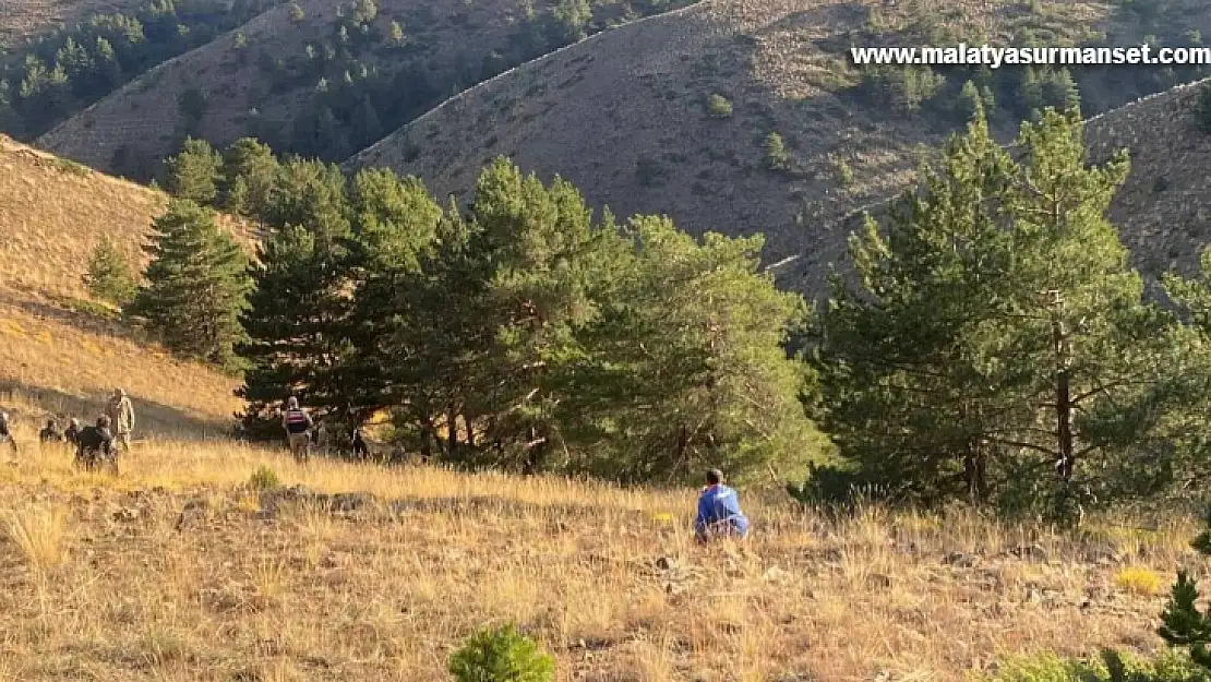 Kayıp olarak aranan şahsın cesedi ormanlık alanda bulundu