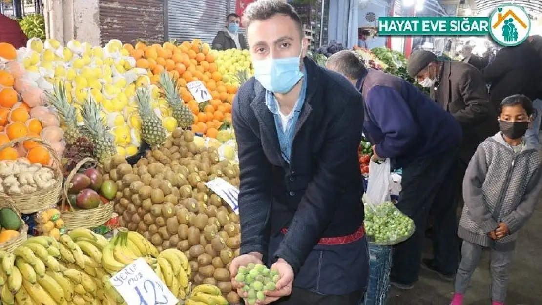 Kayısı kenti Malatya'da Mut kayısı satılıyor