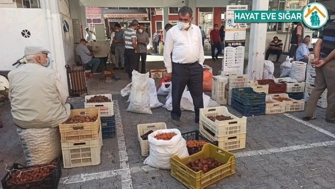Kayısı üreticilerinden TMO'nun alım fiyatı değerlendirmesi