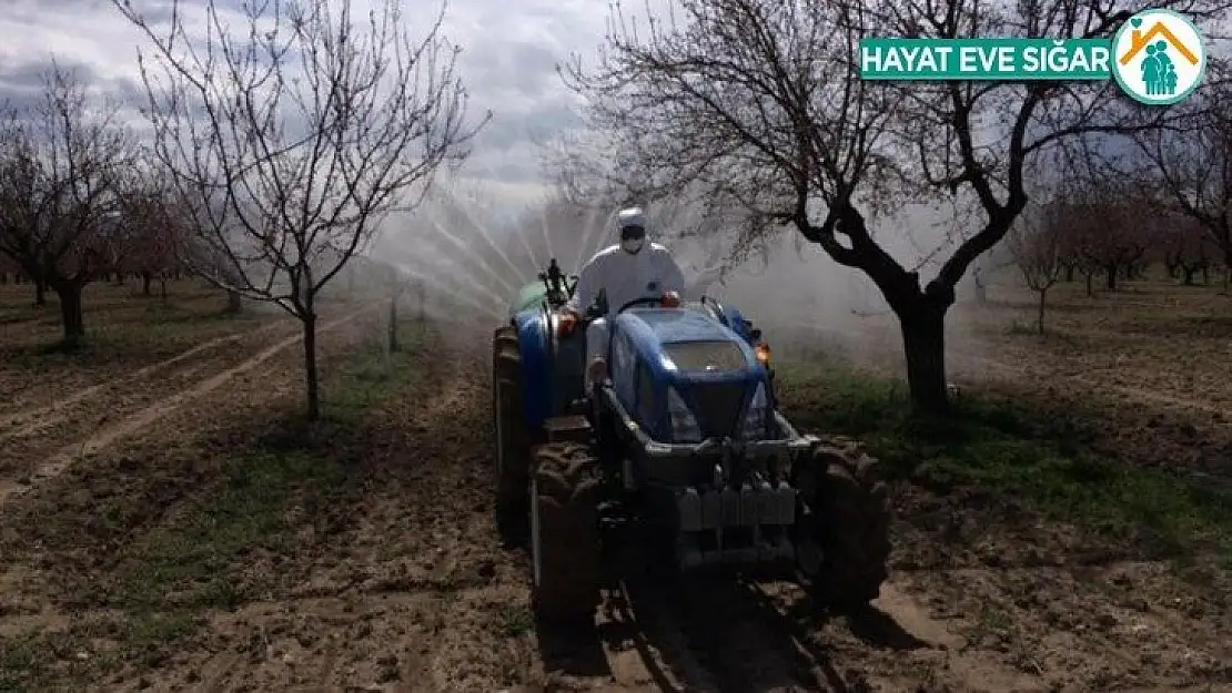 Kayısı üreticilerine zirai ilaç uyarısı