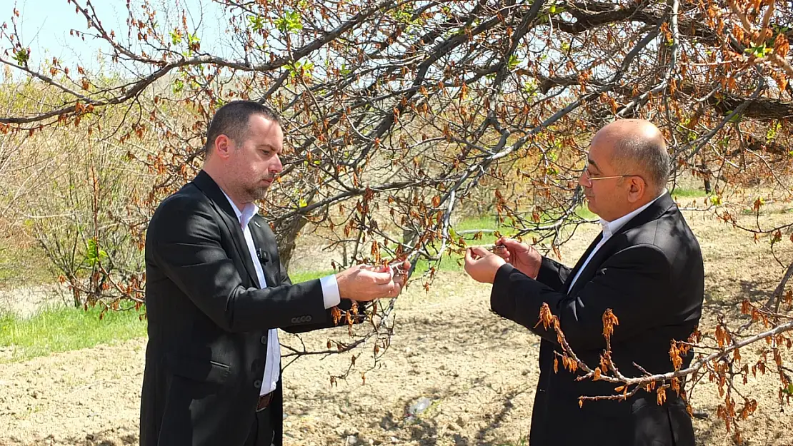 Kayısısız Bir Yıl  Malatya İçin Felaket Olur