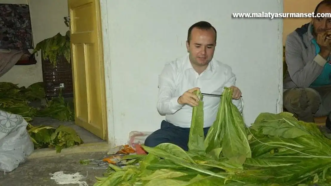 Kaymakam Arslantürk, tütün biçti, şişe sapladı