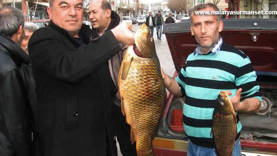 Kebap diyarında balık avlayarak geçimlerini sağlıyorlar