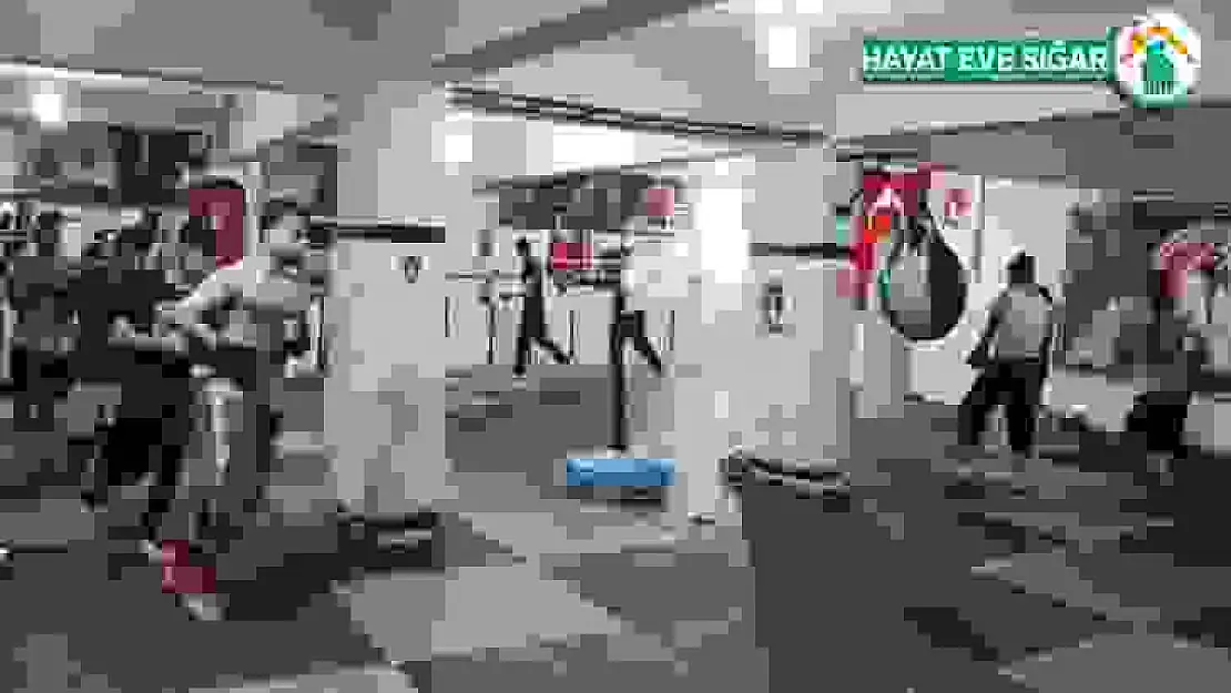 Kick boksçular, dan sınavlarına hazırlanıyor