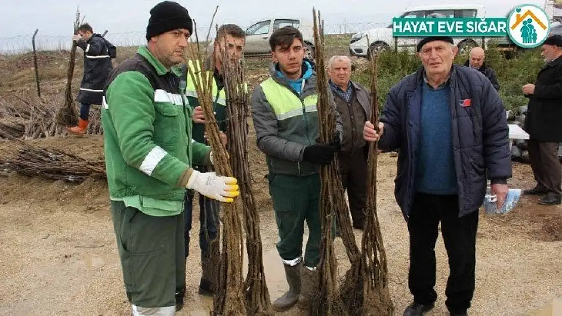 Kocaeli'de tarım ve hayvancılığı milyonluk destek