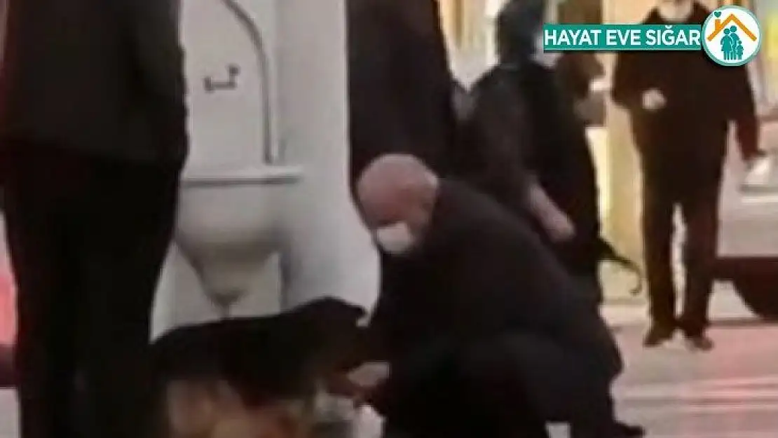 Köpeğe avucuyla su verdi