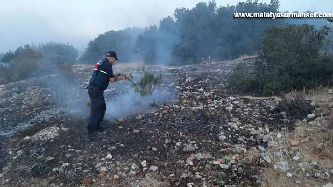 Korkutan orman yangını 5 saatte kontrol altına alındı
