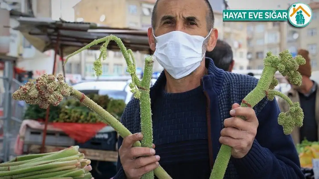 Korona'ya karşı birebir Doğu'nun muzu 'Işkın' ama talep az