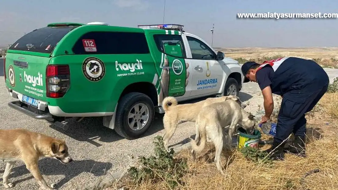 Koruma timi 6 ayda 57 olaya müdahale etti