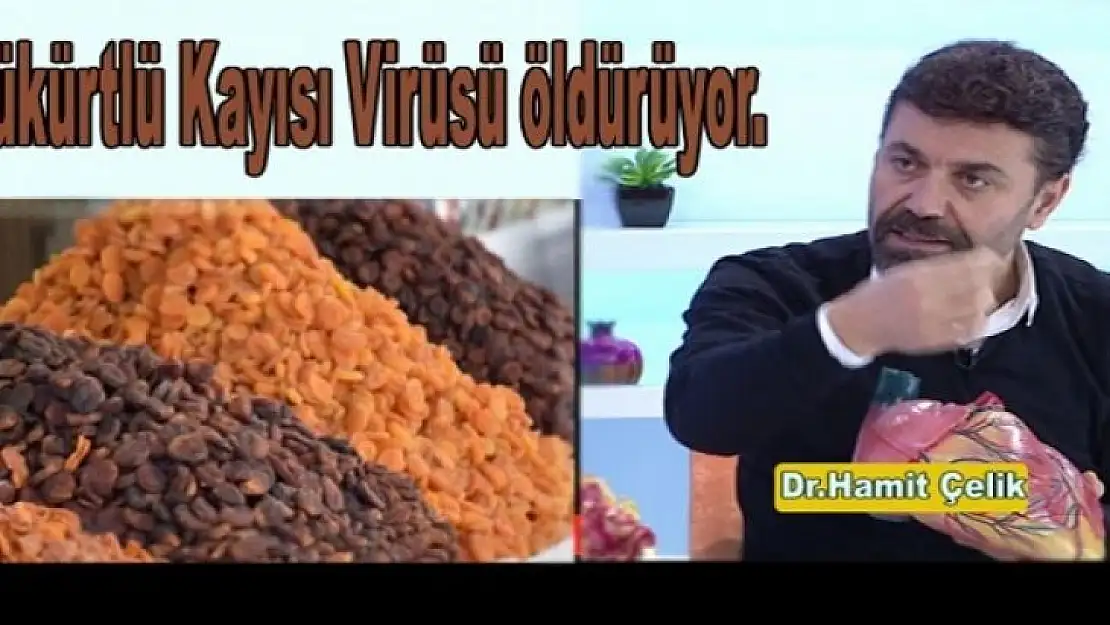 Kükürtlü Kayısı Virüsü öldürüyor.