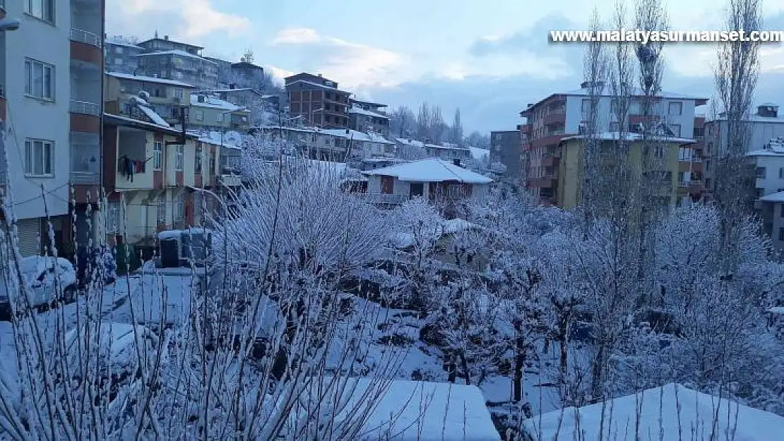 Kulp mart ayında yağan karla beyaza büründü