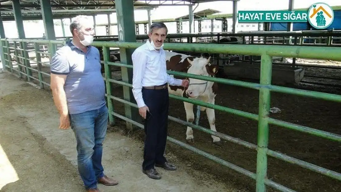 Kurban Bayramı öncesinde hayvan pazarı denetlendi