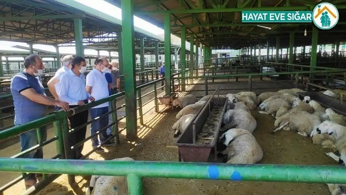 Kurban piyasasında covid 19 gölgesi
