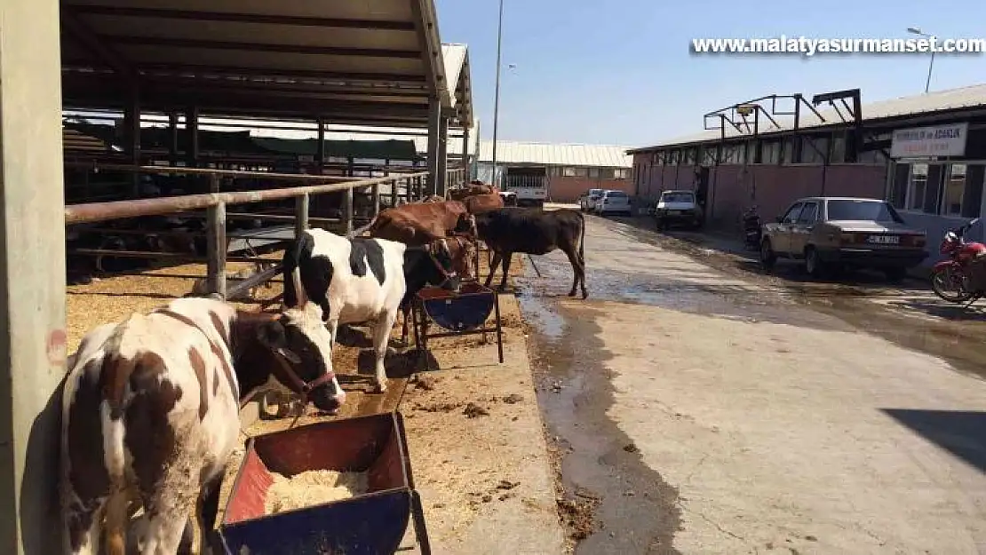 Kurban satış ve kesim alanları belirlendi