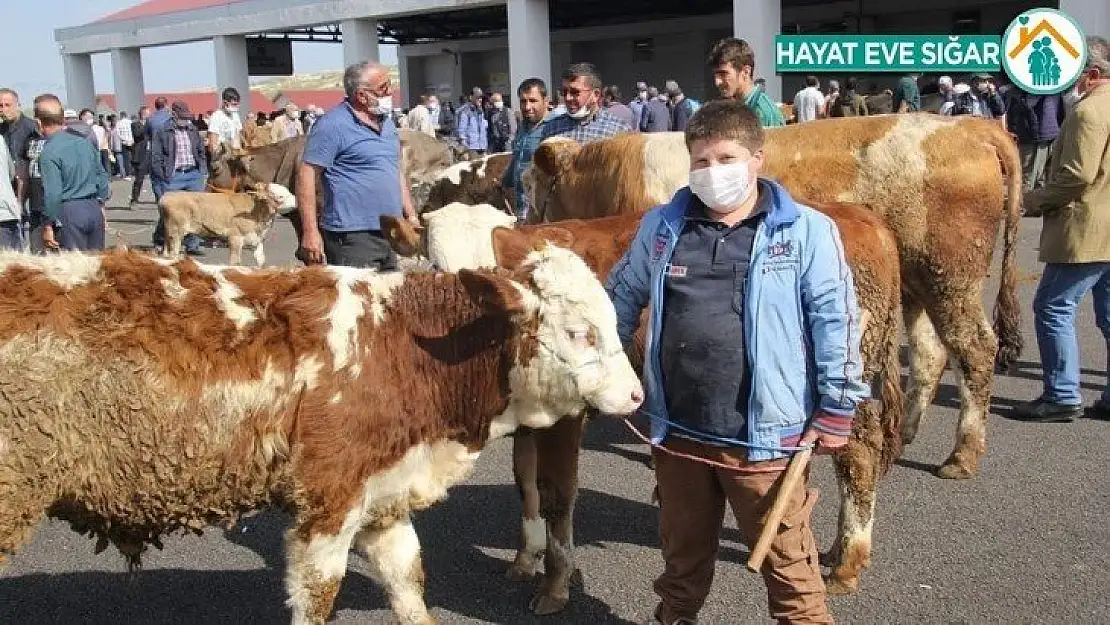 Kurban tedbirleri açıklandı