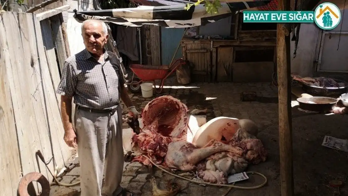 Kurbanlık aldığı hayvan 'tüberkülozlu' çıktı
