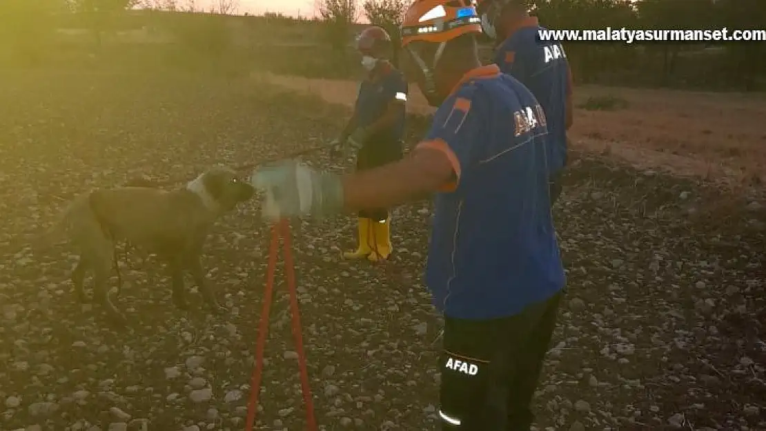 Kuyuya düşen köpeği AFAD ekipleri kurtardı