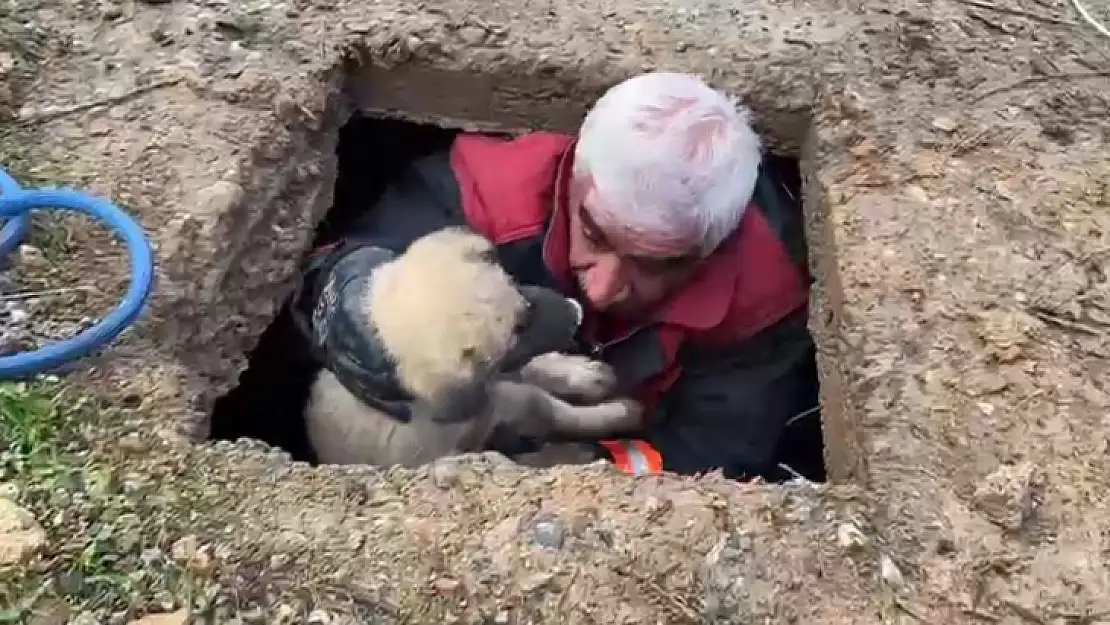 Kuyuya düşen köpeği İtfaiye Eri kurtardı