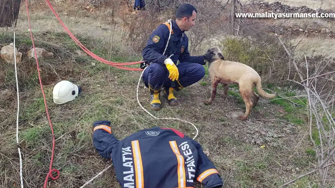 Kuyuya düşen köpek için zamanla yarıştılar