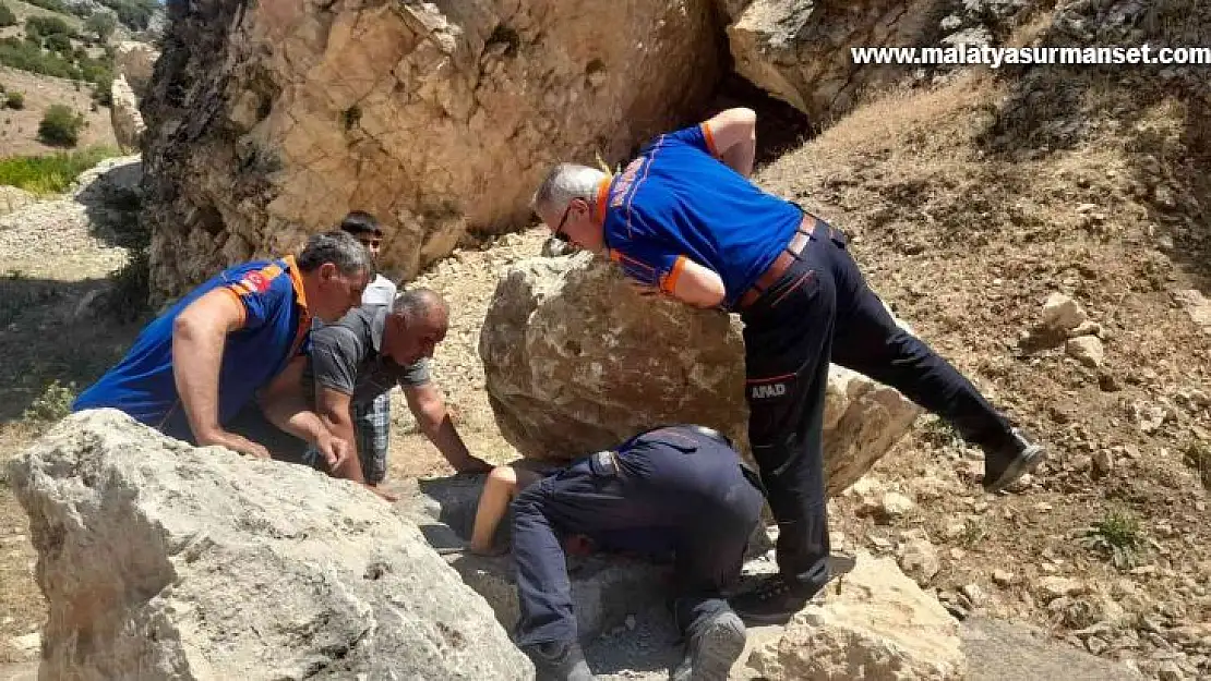 Kuyuya düşen tilkiyi AFAD ekipleri kurtardı