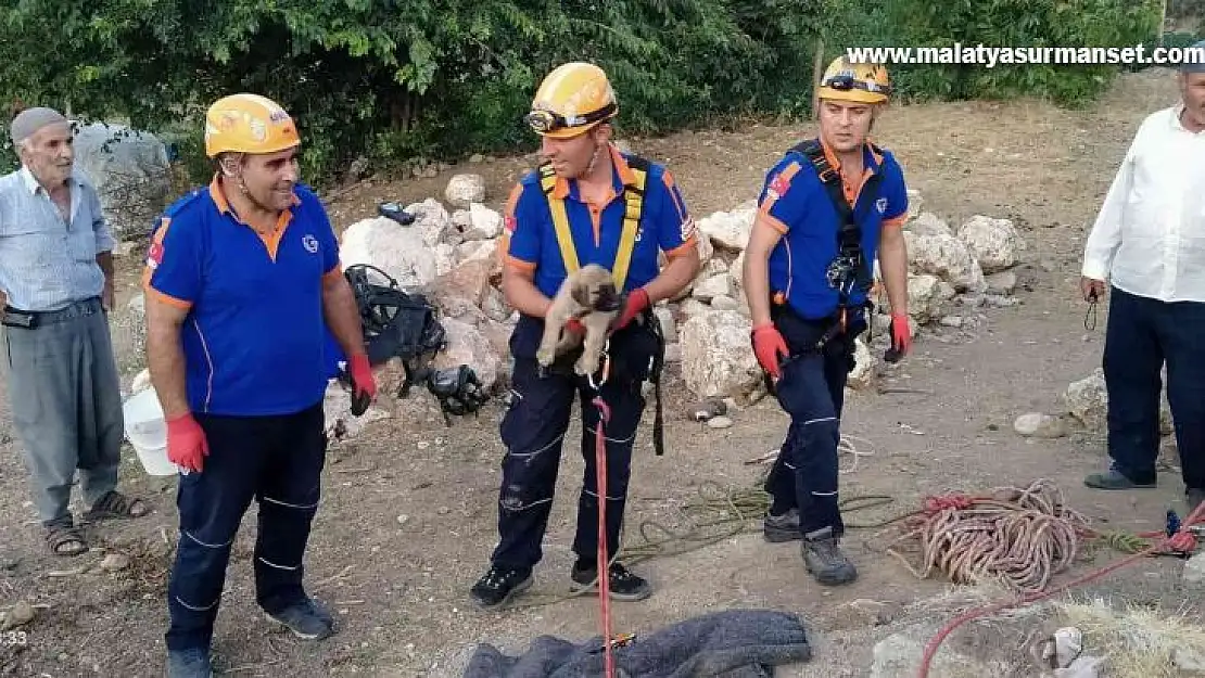 Kuyuya düşen yavru köpek kurtarıldı