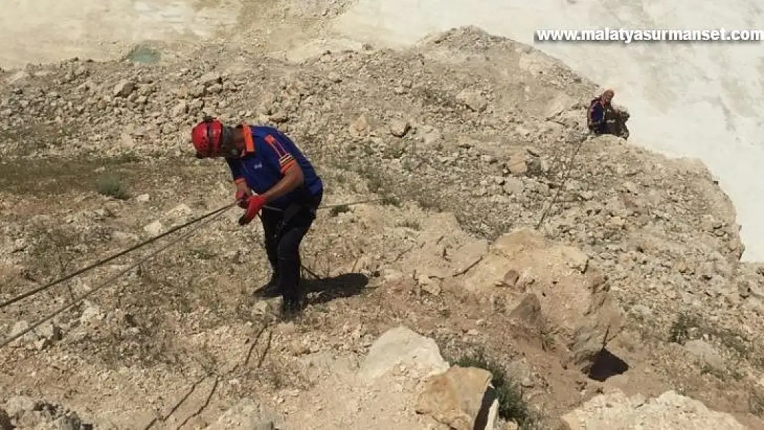 Mahsur kalan yavru dağ keçileri kurtarıldı