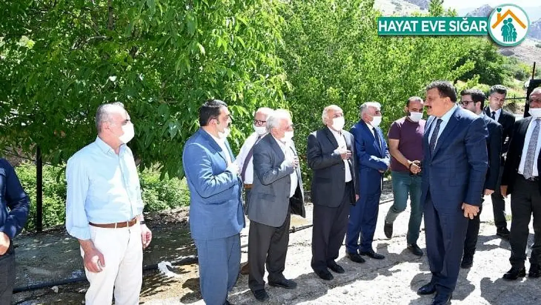 Malatya Büyükşehir Belediyesi, Kadiruşağı yolunu asfaltlıyor