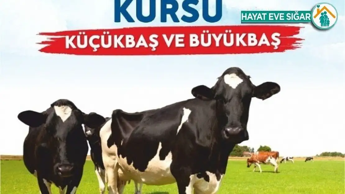 Malatya Büyükşehir'den kurban kesim kursu