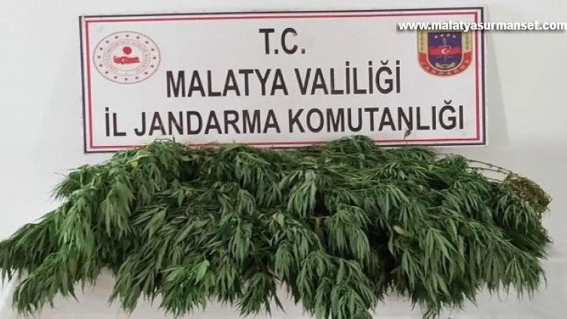 Malatya'da 10 kilo esrar ele geçirildi