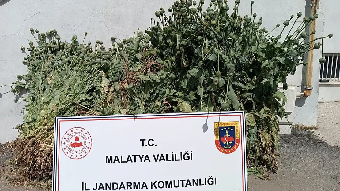 Malatya'da 18'i kesinleşmiş hapis cezası bulunan 30 kişi yakalandı