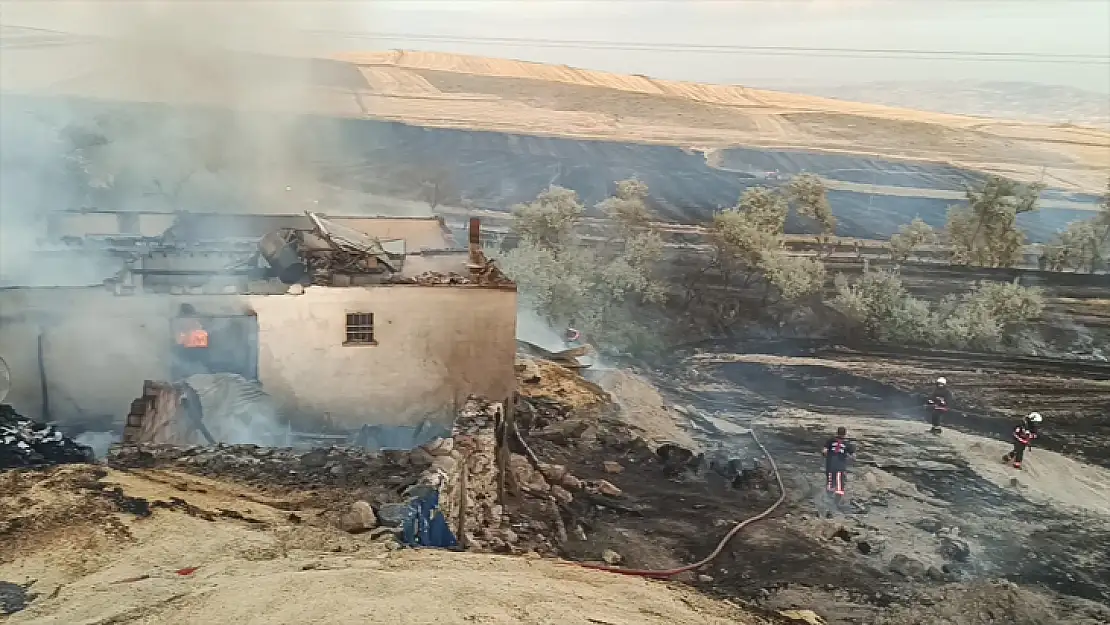 Malatya'da 600 dönümlük anız arazisi yandı, bir inek telef oldu