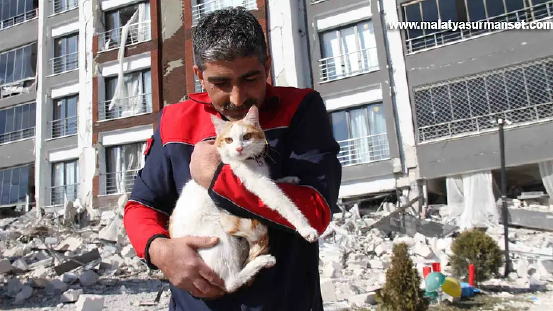 Malatya'da ağır hasarlı binada mahsur kalan kedi kurtarıldı