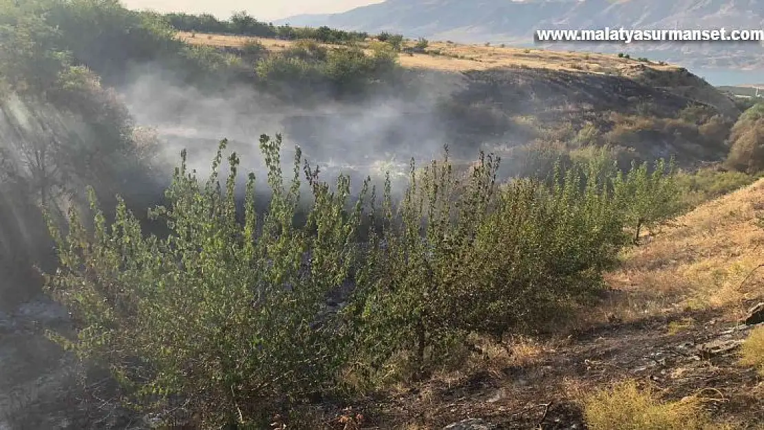 Malatya'da anız yangınında kayısı ağaçları zarar gördü