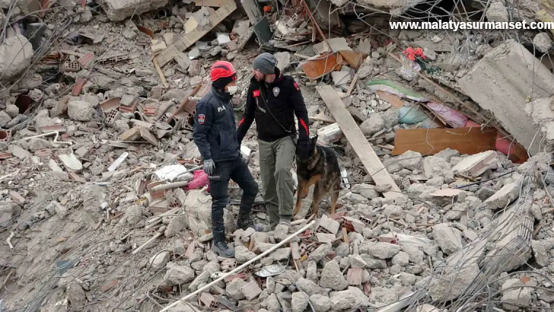 Malatya'da arama kurtarma köpekleri devrede