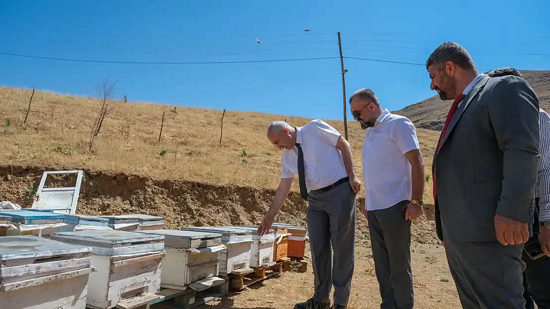 Malatya'da Arıcılıkta Verim ve Bereketin Sırrı Ne?