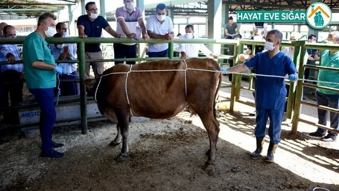 Malatya'da bayram öncesinde geçici pazarlar kurulmayacak