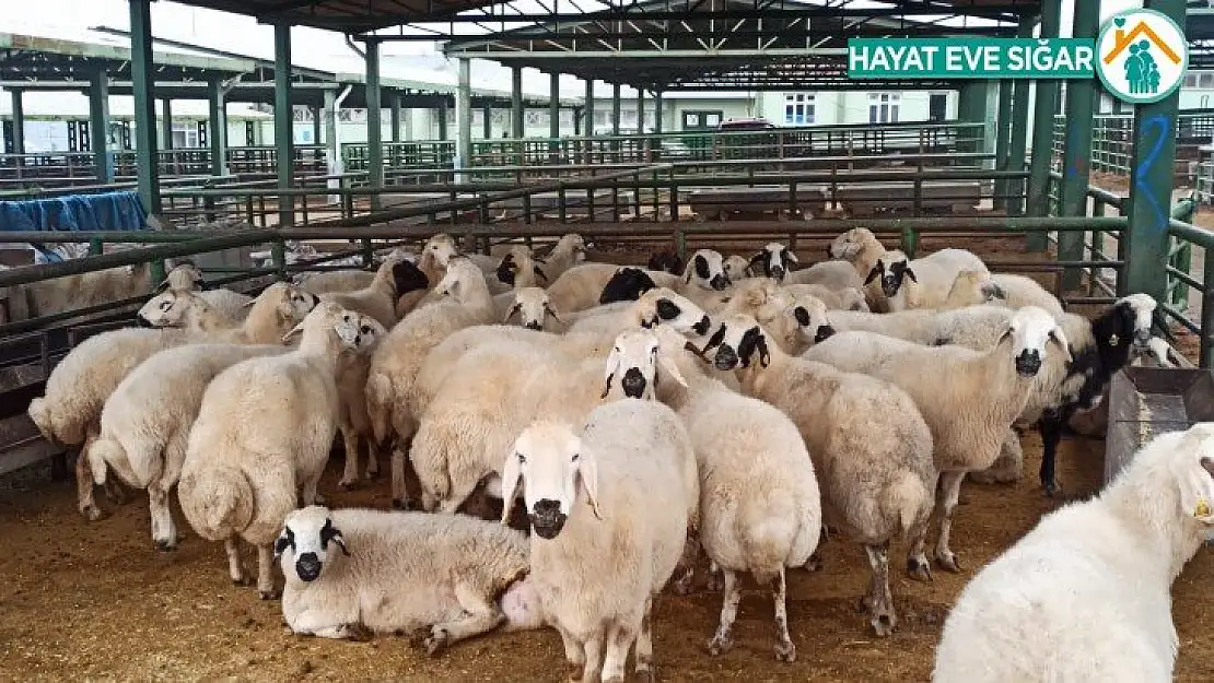 Malatya'da bayram öncesinde yoğun önlemler