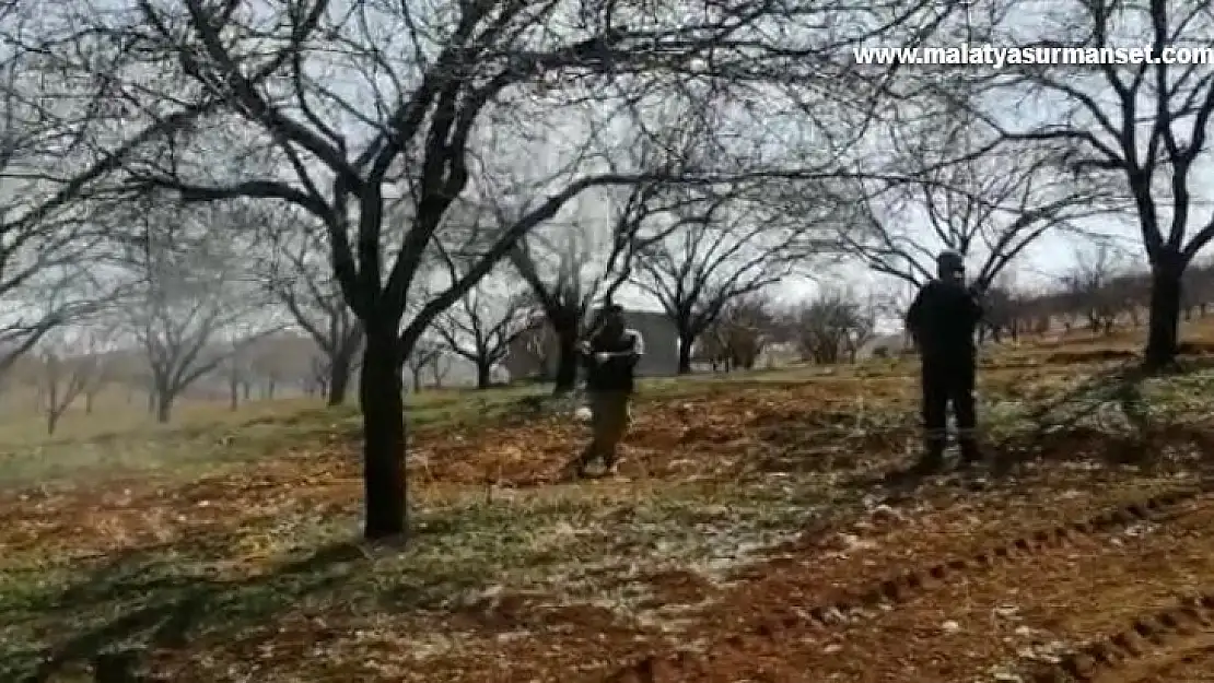 Malatya'da çiftçiler kayısı ağaçlarını ilaçlıyor