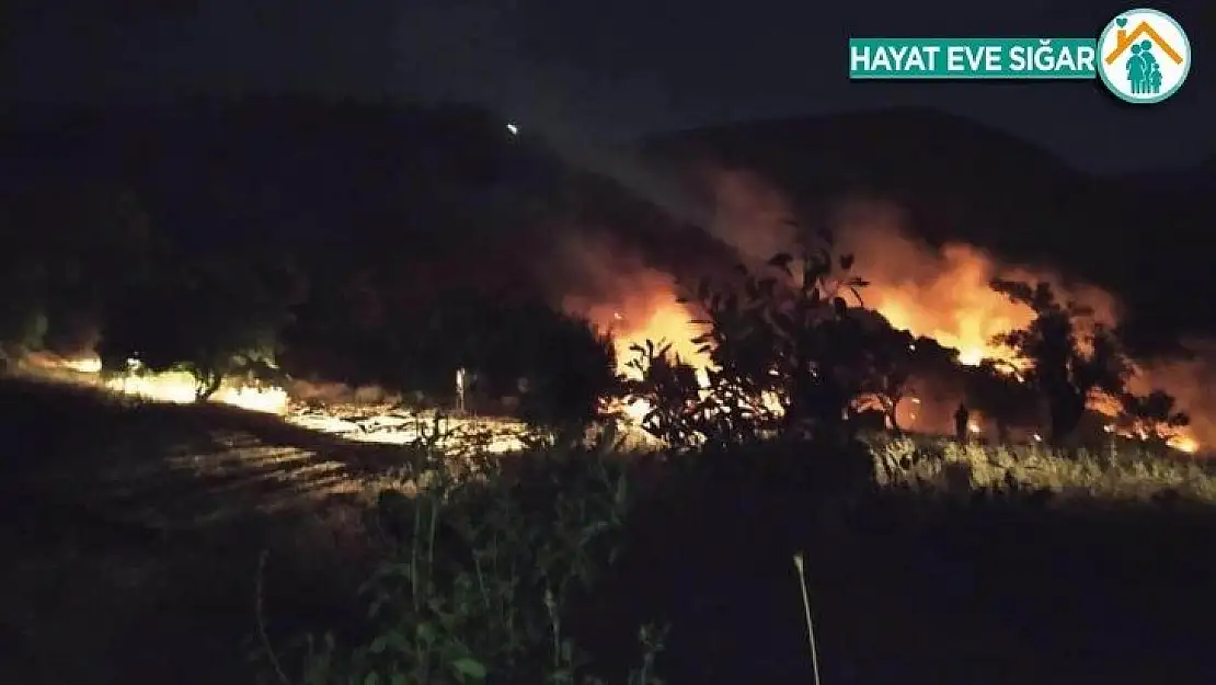 Malatya'da dağlık alanda çıkan örtü yangınına müdahale ediliyor