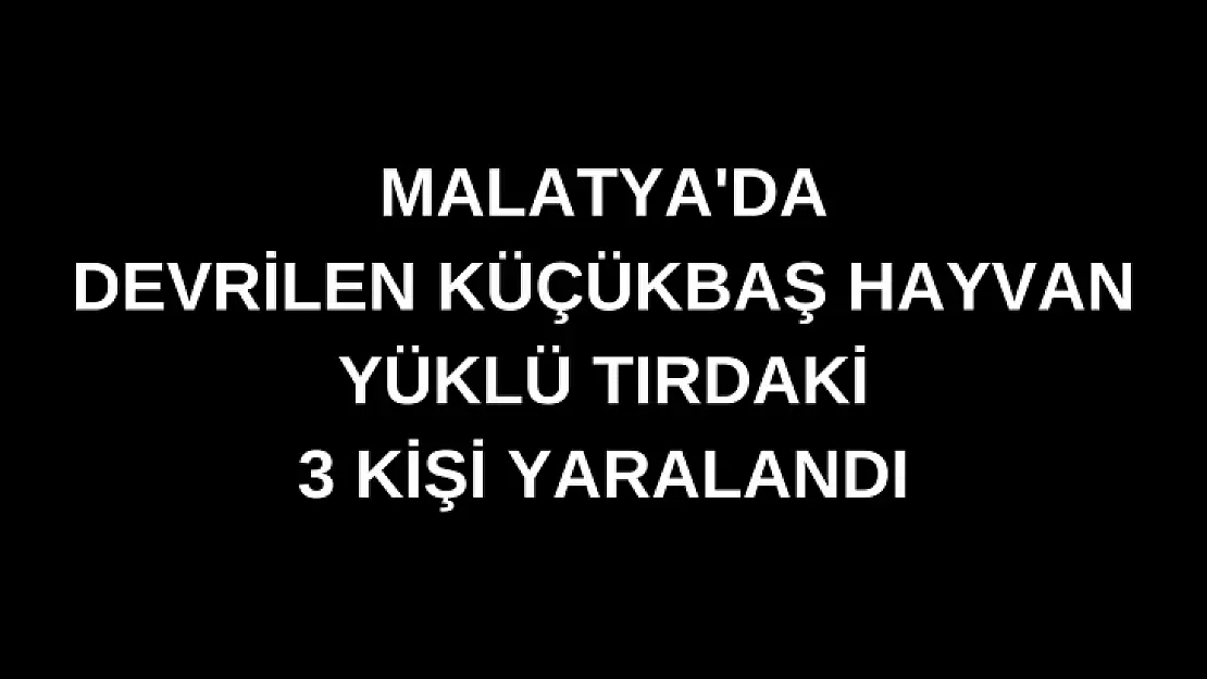 Malatya'da devrilen küçükbaş hayvan yüklü tırdaki 3 kişi yaralandı