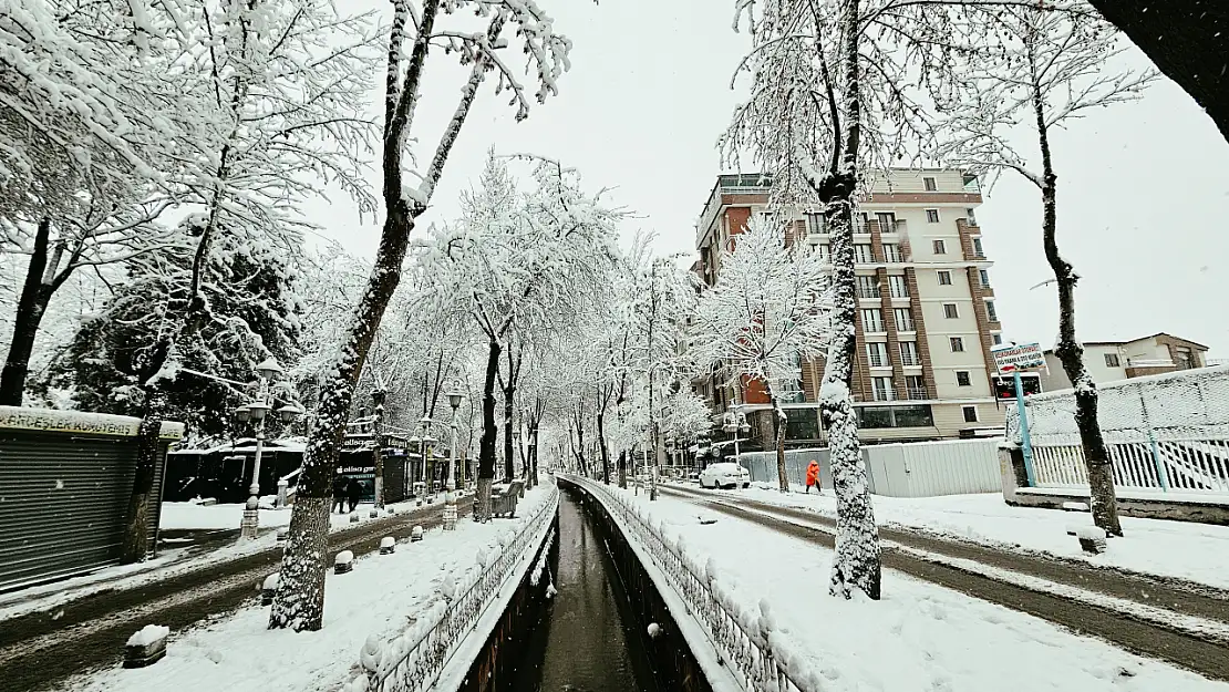 Malatya'da Don ve Buzlanma Tehlikesi Sürücüler Dikkat!