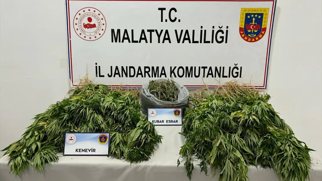 Malatya'da esrar ve kenevir ele geçirildi