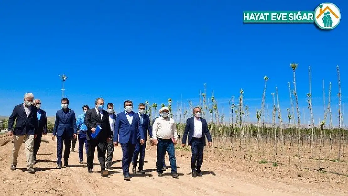 Malatya'da fidan üretim merkezi kurdu