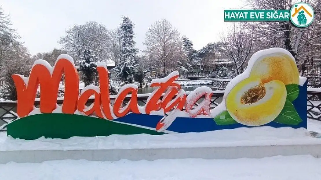 Malatya'da kar sevinci