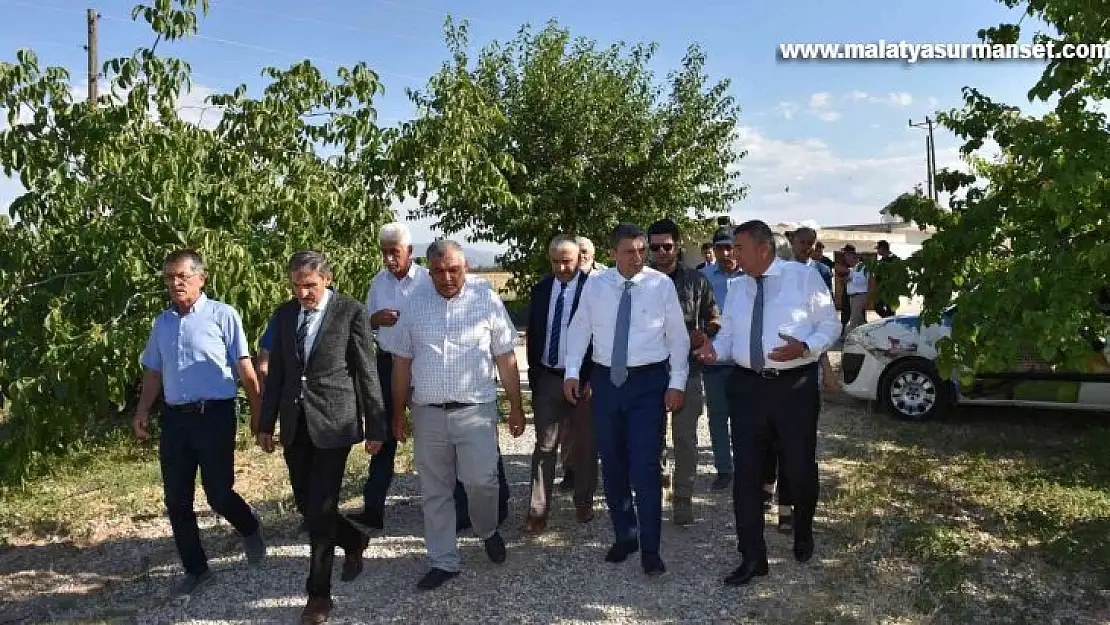 Malatya'da kayısı hasadı sürüyor